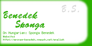 benedek sponga business card